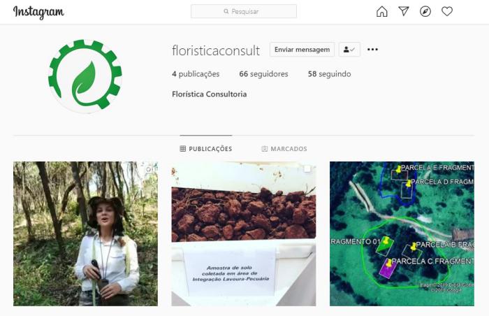 Acesse Instagram Florística Consultoria